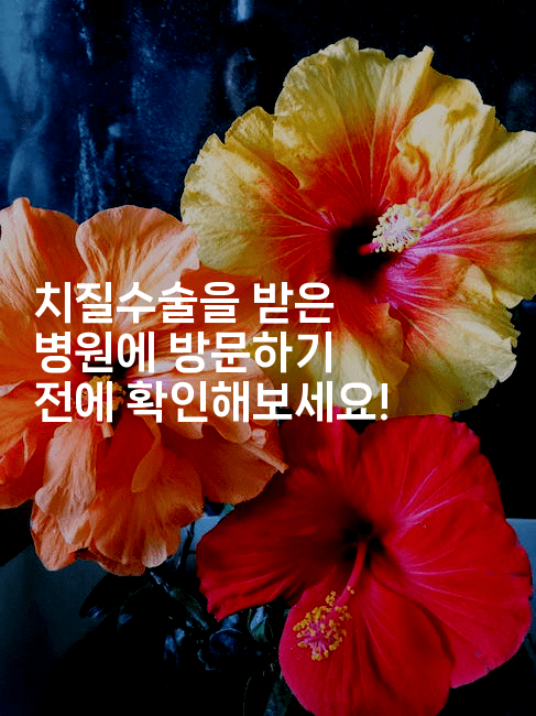 치질수술을 받은 병원에 방문하기 전에 확인해보세요! 2-힐몬