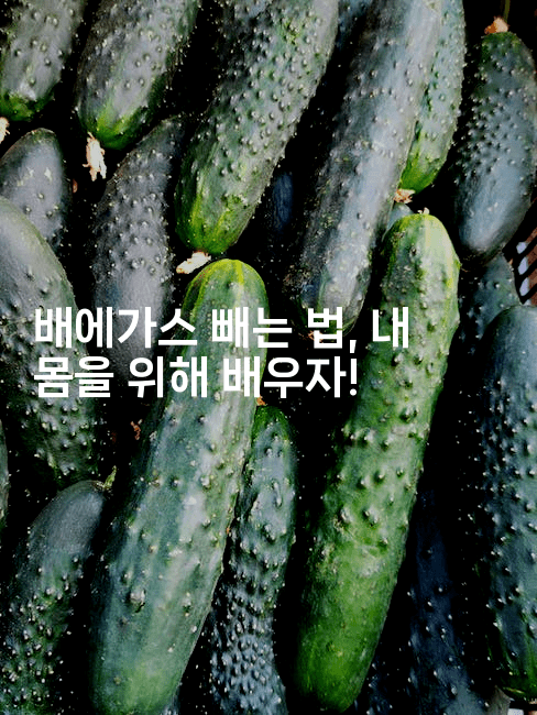 배에가스 빼는 법, 내 몸을 위해 배우자!2-힐몬