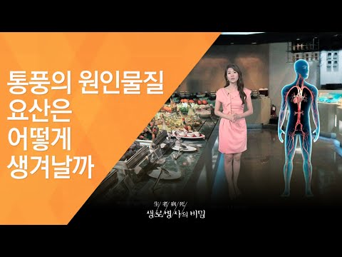 통풍의 원인물질 요산은 어떻게 생겨날까 - (2011.9.17_385회 방송)_바람만 스쳐도 극심한 고통, 통풍