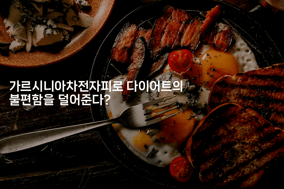 가르시니아차전자피로 다이어트의 불편함을 덜어준다?-힐몬