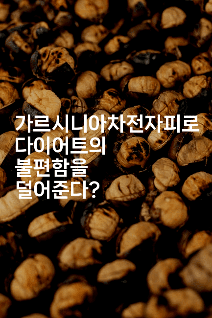 가르시니아차전자피로 다이어트의 불편함을 덜어준다?2-힐몬