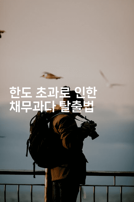 한도 초과로 인한 채무과다 탈출법-힐몬