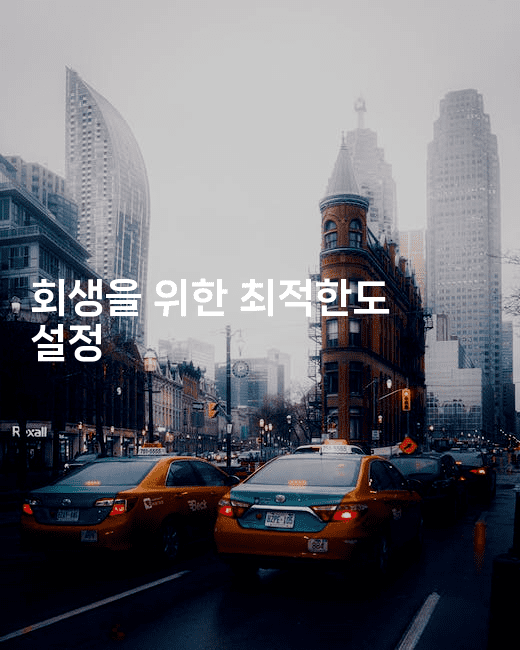 회생을 위한 최적한도 설정-힐몬