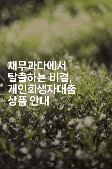 채무과다에서 탈출하는 비결, 개인회생자대출 상품 안내-힐몬