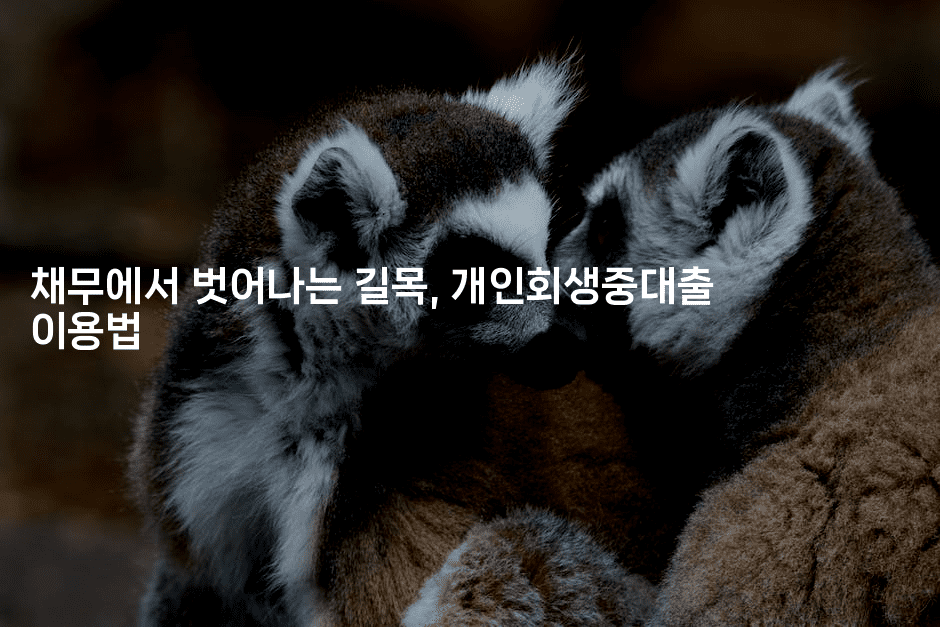 채무에서 벗어나는 길목, 개인회생중대출 이용법