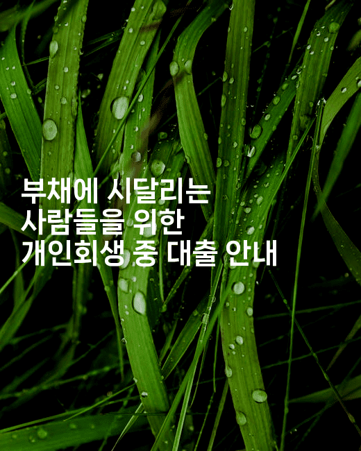 부채에 시달리는 사람들을 위한 개인회생 중 대출 안내-힐몬