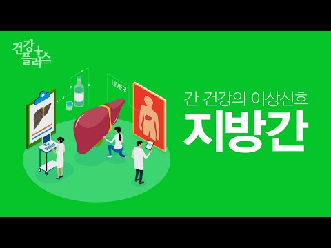 지방간 [건강플러스]