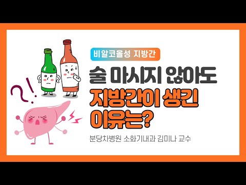 술 마시지 않아도 지방간이 생길 수 있다고요? 비알코올성 지방간의 원인은 바로 이것!