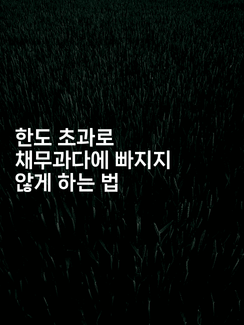 한도 초과로 채무과다에 빠지지 않게 하는 법-힐몬