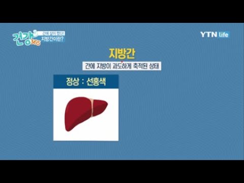 지방간이란? / YTN 라이프