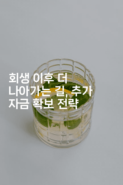 회생 이후 더 나아가는 길, 추가 자금 확보 전략-힐몬