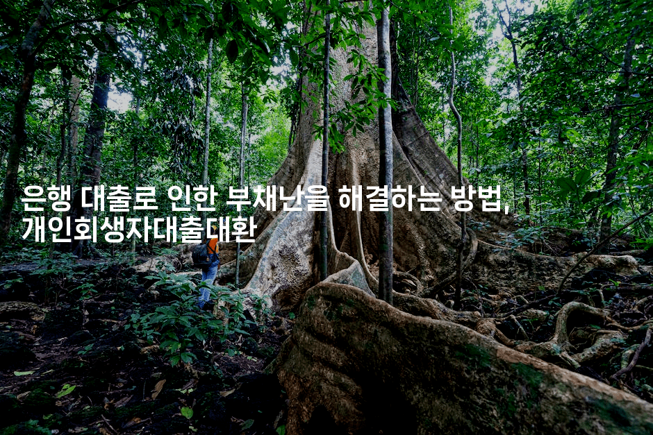 은행 대출로 인한 부채난을 해결하는 방법, 개인회생자대출대환-힐몬